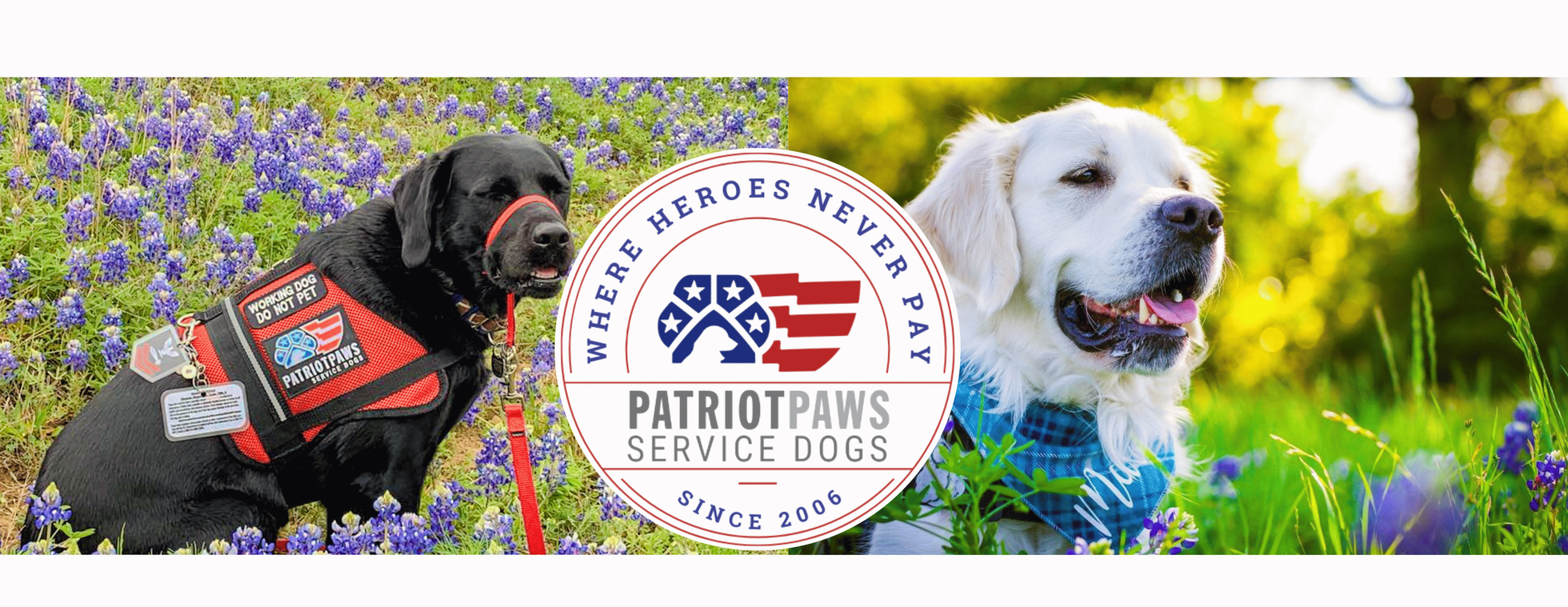 Patriot PAWS Spring Graduation 2026